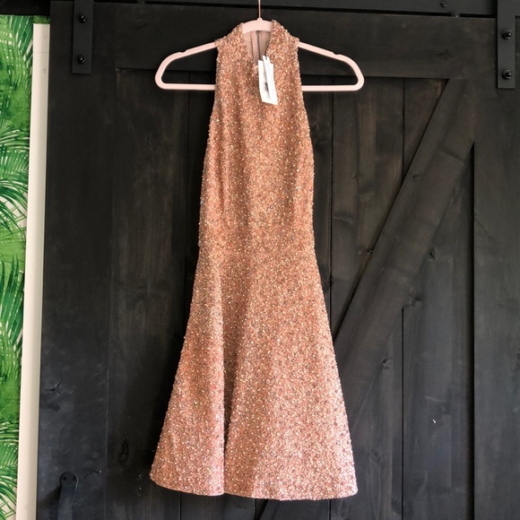 Alice + Olivia Dresses & Skirts - RARE beaded Alice & Olivia Dress by Stacey Bendet